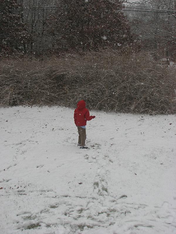 2008-12-07_First_Snow 064.jpg